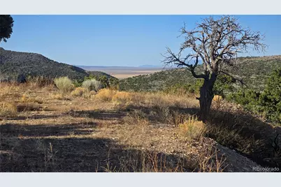 Lot 3859 Murray Road, Fort Garland, CO 81133 - Photo 5