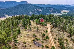 19 E Pine Dr, Bailey, CO 80421 - Photo 35
