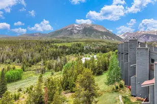 9460 Ryan Gulch Rd, Silverthorne, CO 80498 - Photo 27
