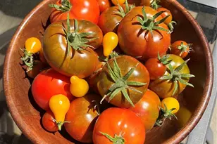 2332 N Glencoe St, Denver, CO 80207 - Photo 25