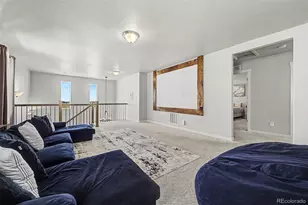 295 Chipeta Way, Brighton, CO 80603 - Photo 39