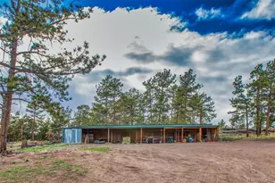 408 Co Rd 59, Guffey, CO 80820 - Photo 39