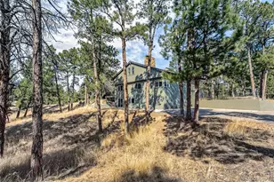 12745 Antelope Trail, Parker, CO 80138 - Photo 37