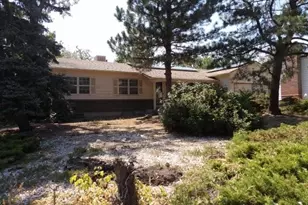 8639 Jay Ct, Arvada, CO 80003 - Photo 3