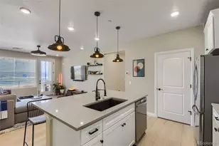 16860 Askins Loop, Parker, CO 80134 - Photo 9