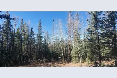 Lot 6581 Ackerman Road, Fort Garland, CO 81133 - Photo 1