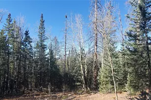 Lot 6581 Ackerman Rd, Fort Garland, CO 81133 - Photo 1