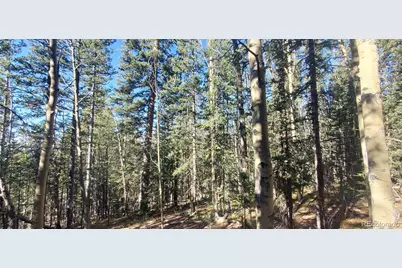 Lot 6581 Ackerman Road, Fort Garland, CO 81133 - Photo 7