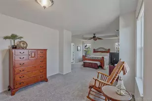 11691 Pink Phlox Dr, Parker, CO 80134 - Photo 13