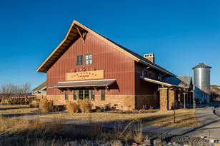 2526 Coach House Loop, Castle Rock, CO 80109 - Photo 35