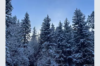 32217 Buffalo Park Road, Evergreen, CO 80439 - Photo 45