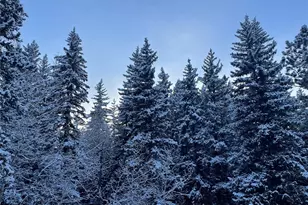 32217 Buffalo Park Rd, Evergreen, CO 80439 - Photo 45