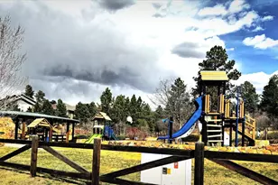 1505 Stonehill Ct, Castle Rock, CO 80104 - Photo 47