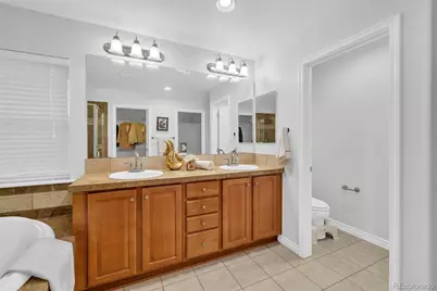 10849 Huntwick Street, Highlands Ranch, CO 80130 - Photo 23