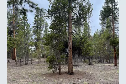 284 Fir Drive, Twin Lakes, CO 80461 - Photo 9