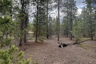 284 Fir Dr, Twin Lakes, CO 80461 - Photo 1