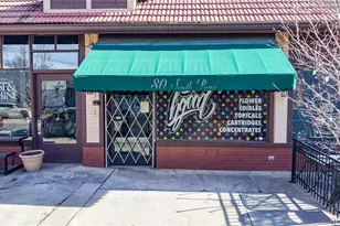 39 S Grant St, Denver, CO 80209 - Photo 29