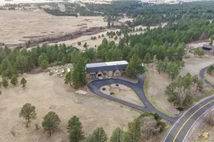 11066 Tomichi Dr, Franktown, CO 80116 - Photo 3