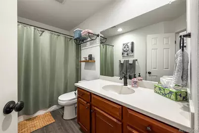 1234 Carlyle Park Circle, Highlands Ranch, CO 80129 - Photo 33