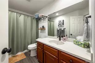 1234 Carlyle Park Cir, Highlands Ranch, CO 80129 - Photo 33