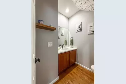 1234 Carlyle Park Circle, Highlands Ranch, CO 80129 - Photo 19