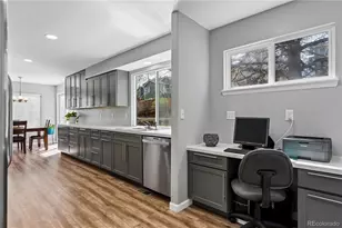 1212 Savannah Sparrow Dr, Highlands Ranch, CO 80129 - Photo 11