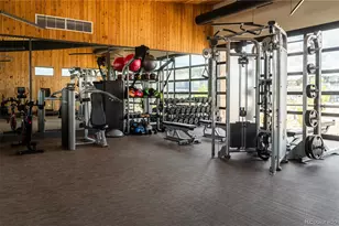 295 Lovejoy Cir, Castle Rock, CO 80104 - Photo 35