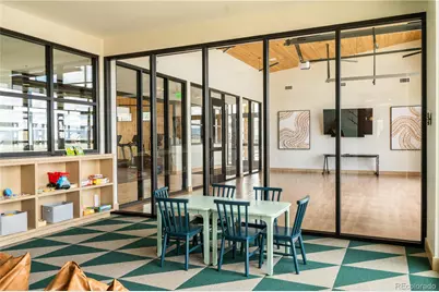 295 Lovejoy Circle, Castle Rock, CO 80104 - Photo 33