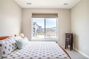 295 Lovejoy Cir, Castle Rock, CO 80104 - Photo 19