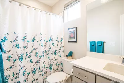 295 Lovejoy Circle, Castle Rock, CO 80104 - Photo 21