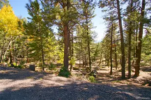 30402 Kings Valley E, Conifer, CO 80433 - Photo 1