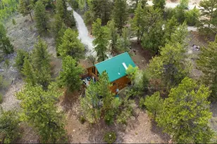 2578 Redhill Rd, Fairplay, CO 80440 - Photo 41