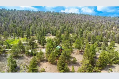 2578 Redhill Road, Fairplay, CO 80440 - Photo 47