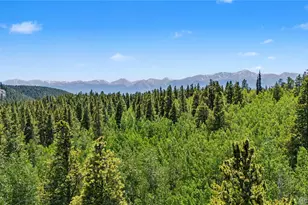 2602 Empire Valley Dr, Leadville, CO 80461 - Photo 35