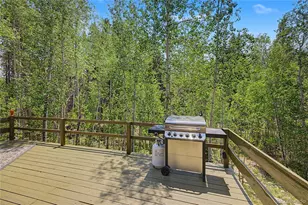 2602 Empire Valley Dr, Leadville, CO 80461 - Photo 31