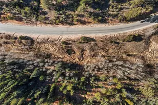 114 Hall Rd, Bailey, CO 80421 - Photo 19