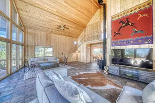 741 Wolfe Rd, Hartsel, CO 80449 - Photo 7