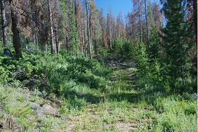 58 Gcr 6325, Granby, CO 80446 - Photo 3