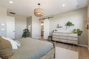 8827 Moonshimmer Trail, Littleton, CO 80125 - Photo 27
