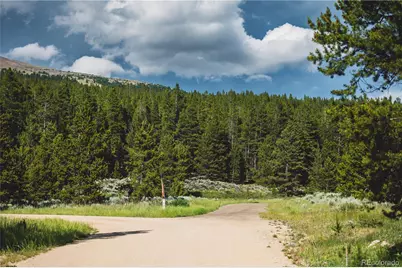 5347 Monitor, Leadville, CO 80461 - Photo 31