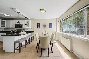 909 N Logan Street, Denver, CO 80203 - Photo 9