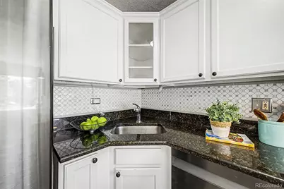 909 N Logan Street #2A, Denver, CO 80203 - Photo 11