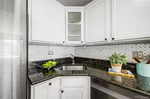 909 N Logan Street, Denver, CO 80203 - Photo 11