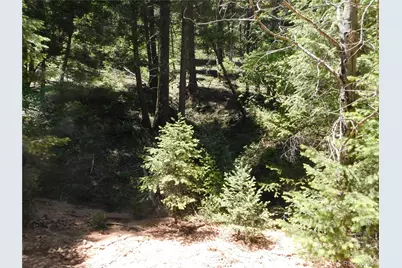 13175 Spruce Creek Circle, Larkspur, CO 80118 - Photo 7