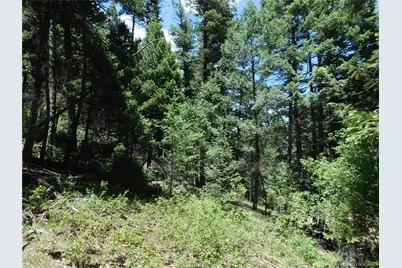 13175 Spruce Creek Circle, Larkspur, CO 80118 - Photo 15