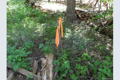 13175 Spruce Creek Circle, Larkspur, CO 80118 - Photo 9