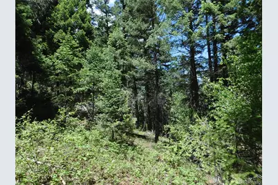 13175 Spruce Creek Circle, Larkspur, CO 80118 - Photo 19