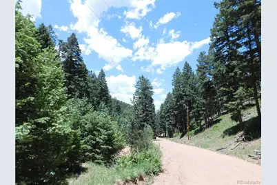 13175 Spruce Creek Circle, Larkspur, CO 80118 - Photo 21