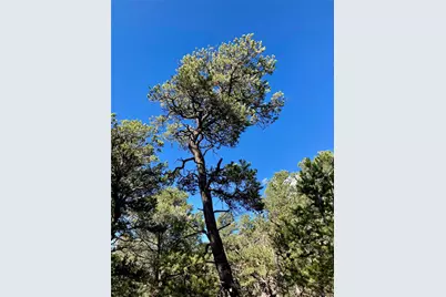 4208 Caprice Way, Crestone, CO 81131 - Photo 11