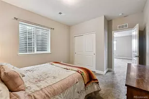 2060 Peralta Loop, Castle Rock, CO 80104 - Photo 27